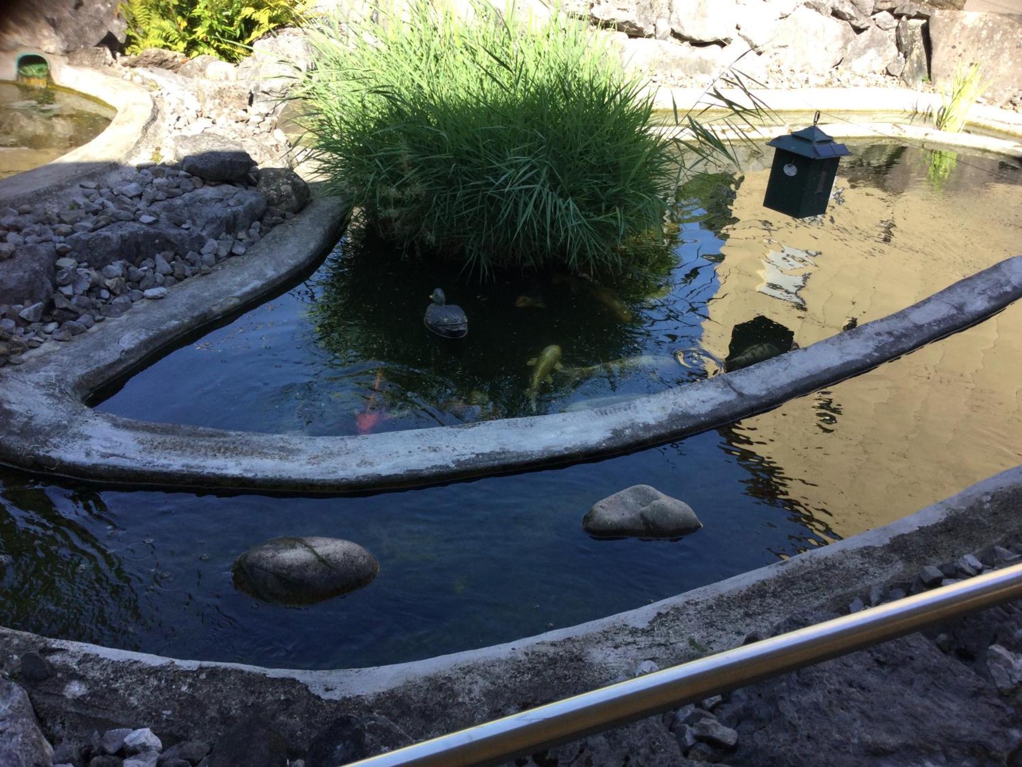 Chambre Spacieuse Et Confortable Avec Ecran Plat Oetwil an Der Limmat Zewnętrze zdjęcie