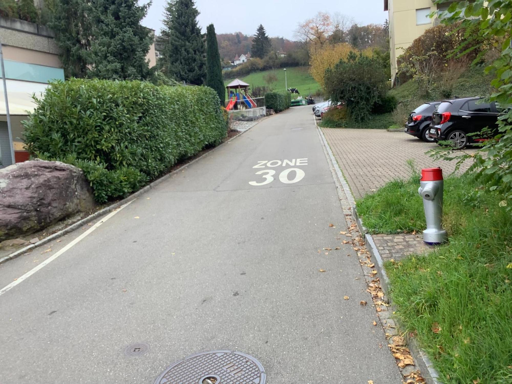 Chambre Spacieuse Et Confortable Avec Ecran Plat Oetwil an Der Limmat Zewnętrze zdjęcie